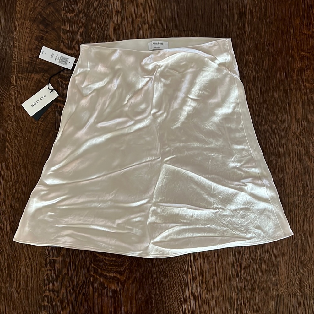 Brand new skirt from Aritzia